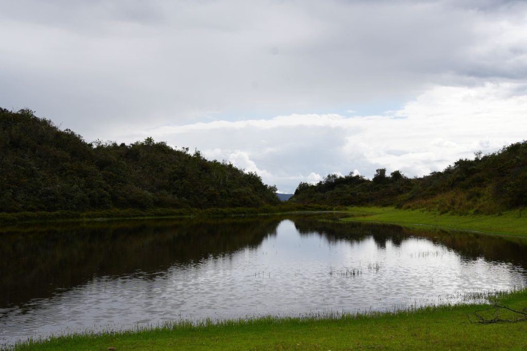 Laguna Rumipamba (1)
