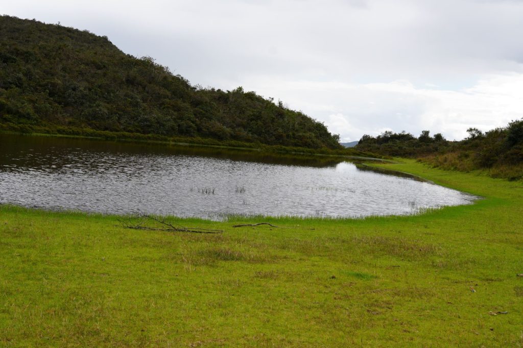 Laguna Rumipamba (2)
